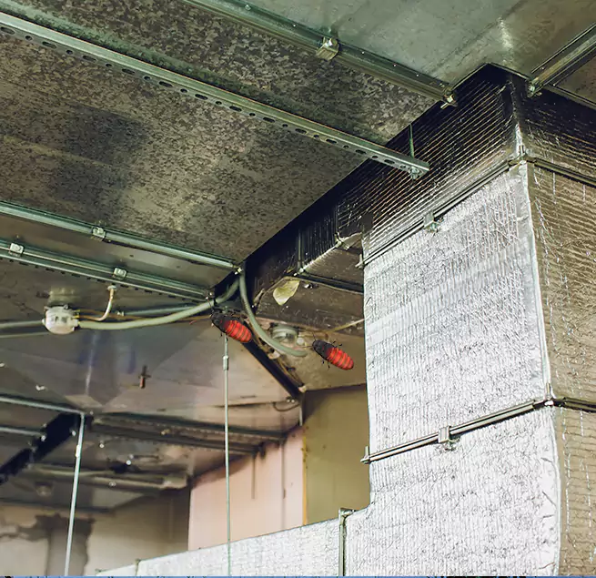 Why Homeowners & Businesses Trust Us in Shawnee, KS?